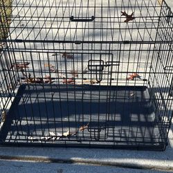 Medium Dog Crate 