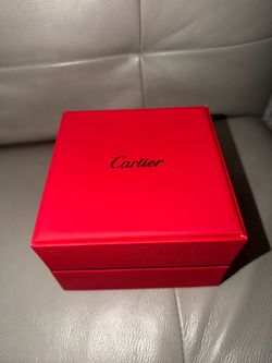 Bust Down Cartier Watch Masonite