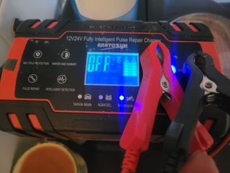 Fully Intelligent Pulse Repair Charger
