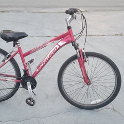 Mountain Bike