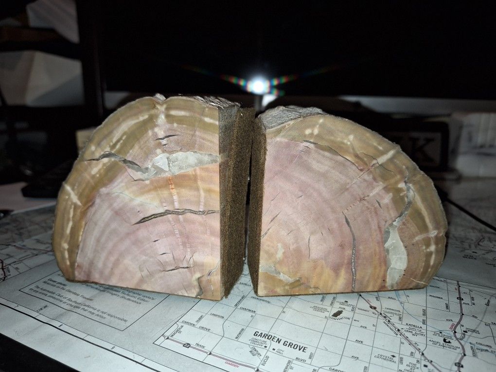 Vintage Petrified Wood Bookends Mid-Century Century Arizona Like Geode
