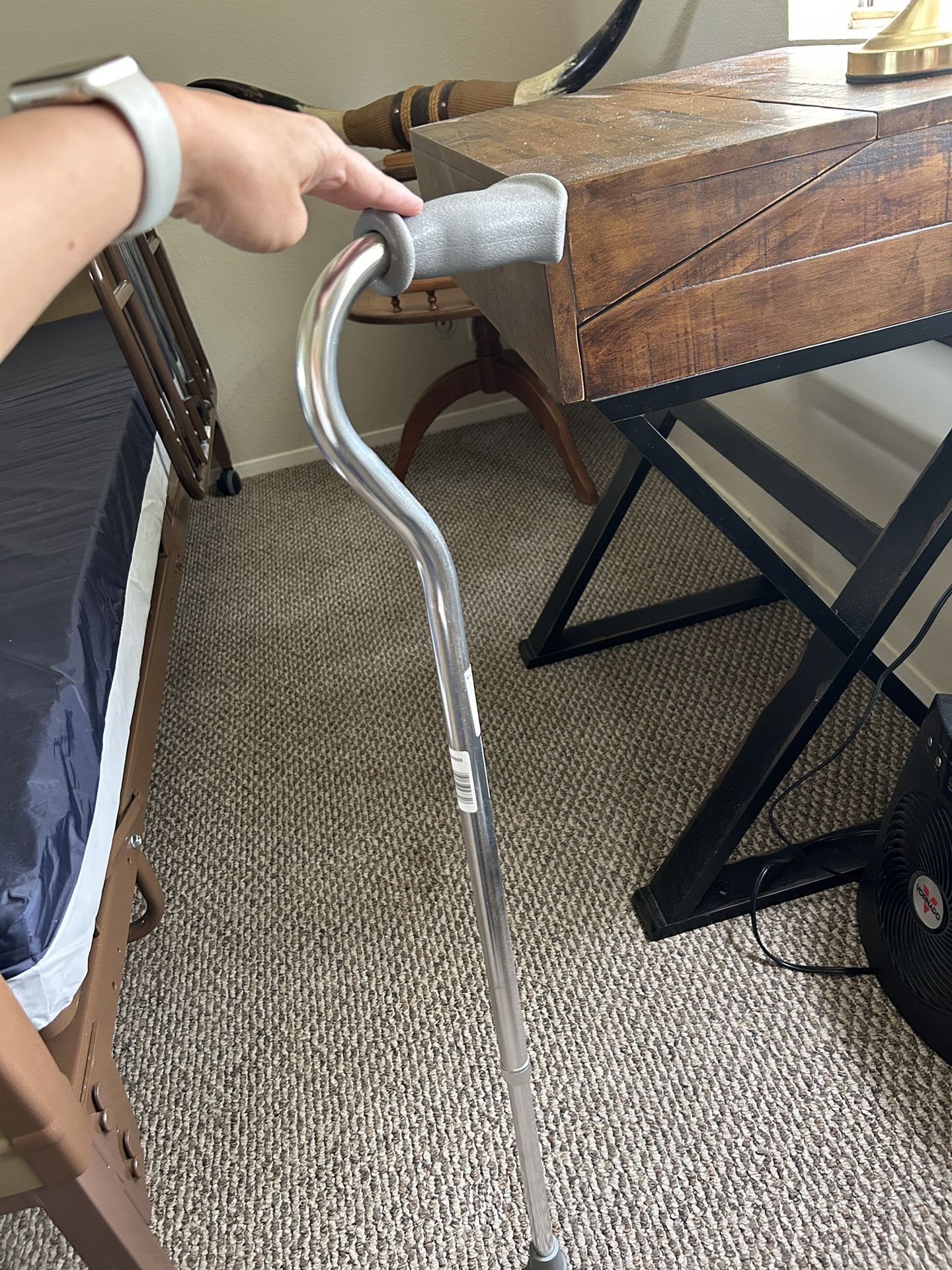 Guardian Single Point Handle Cane Walking Stick