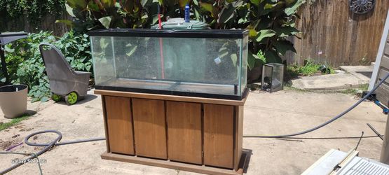 Reptile tank