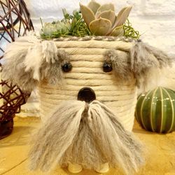 Dog Mama 🐾🐶 Planter