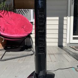 Fan