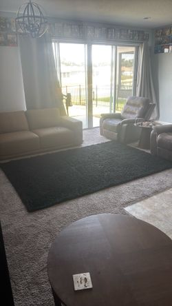 5x8 black shag rug