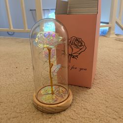 glass dome light