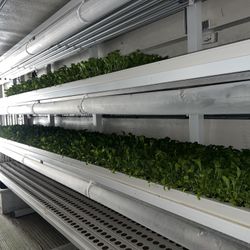42’ Refrigerated trailer Converted To Greens Grow System