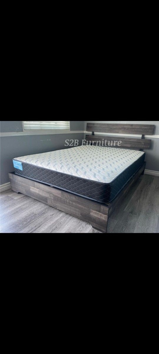 Queen Grey Aticus Euro With Ortho Matres!!