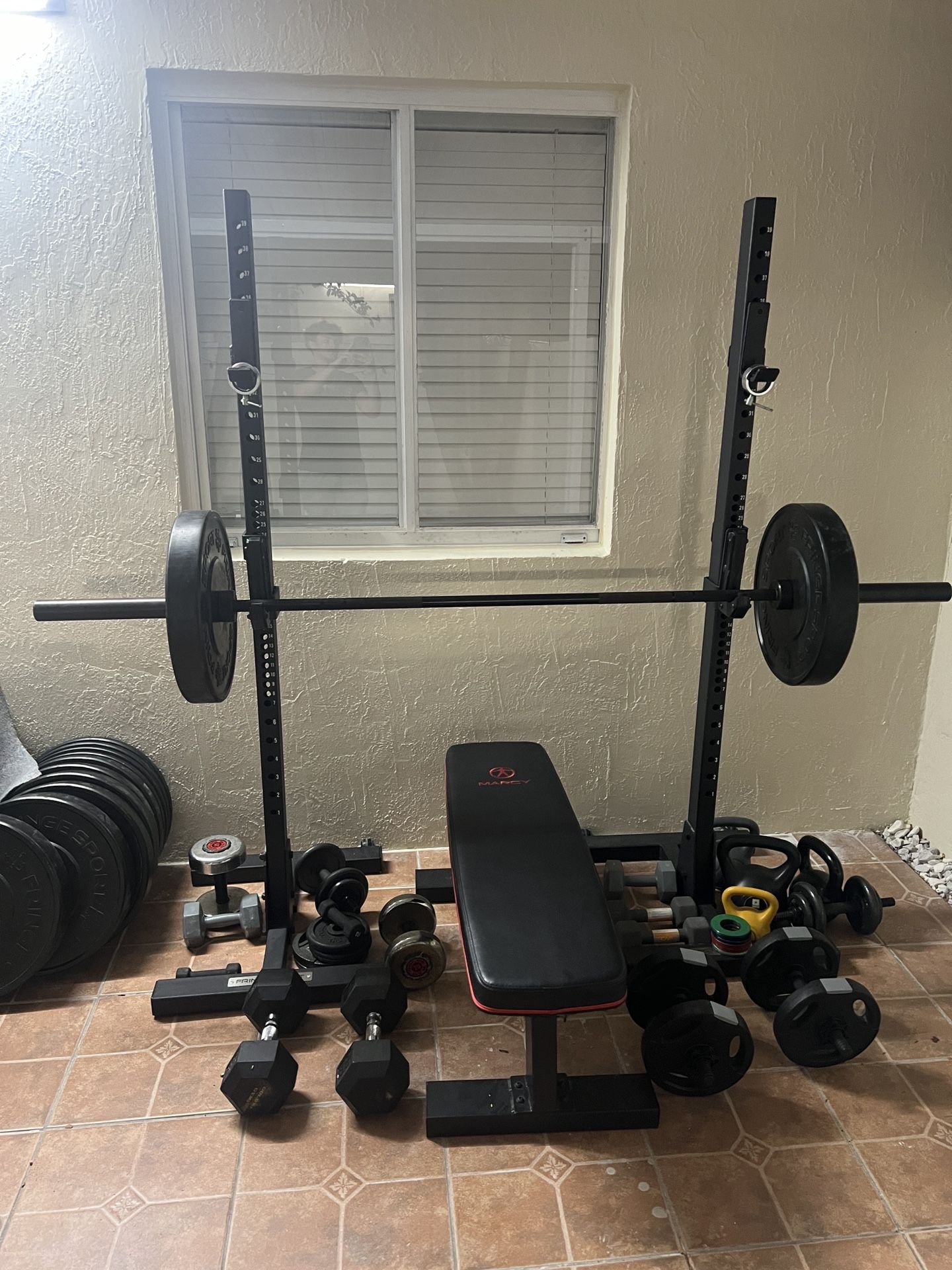 Bench press, Dumbells, Dip bar, Curl bar 