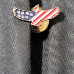 Vtg USA Patriotic Flag Eagle Pin