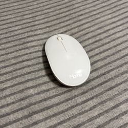 Apple Mouse . 