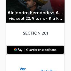 Alejandro Fernández 