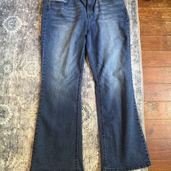 Like New Bootcut DG2 Jeans - Size 12 Petite 