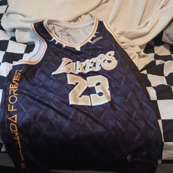 Lebron James Jersey Size 50
