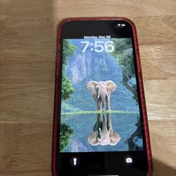Iphone 12 Pro Max (cricket)