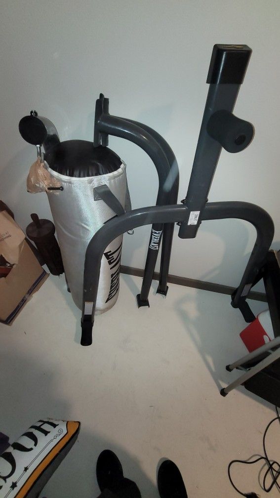 Everlast Punching Bag