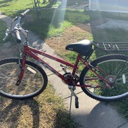 Palomar Gt Excellent Need Nothing 65 Firm Price 