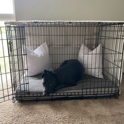 Dog Crate