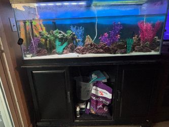 75 gallon fish tank