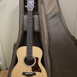 Taylor GS mini