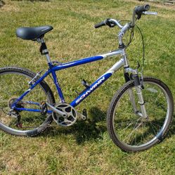 Mountain bike