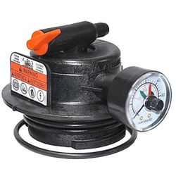 Pool/Hayward Filter Valve DEX2420MAR