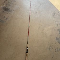 Berkley Graphite Rod