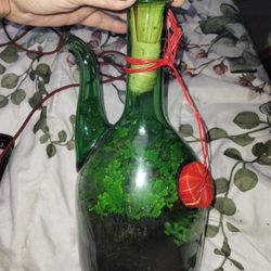Antique Bottle Terrarium 