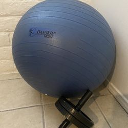 Abdominal Ball and Roller Set