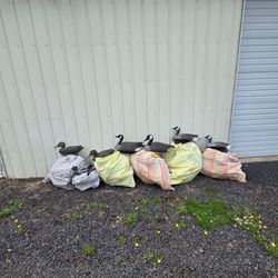 Lot of G&H Decoys