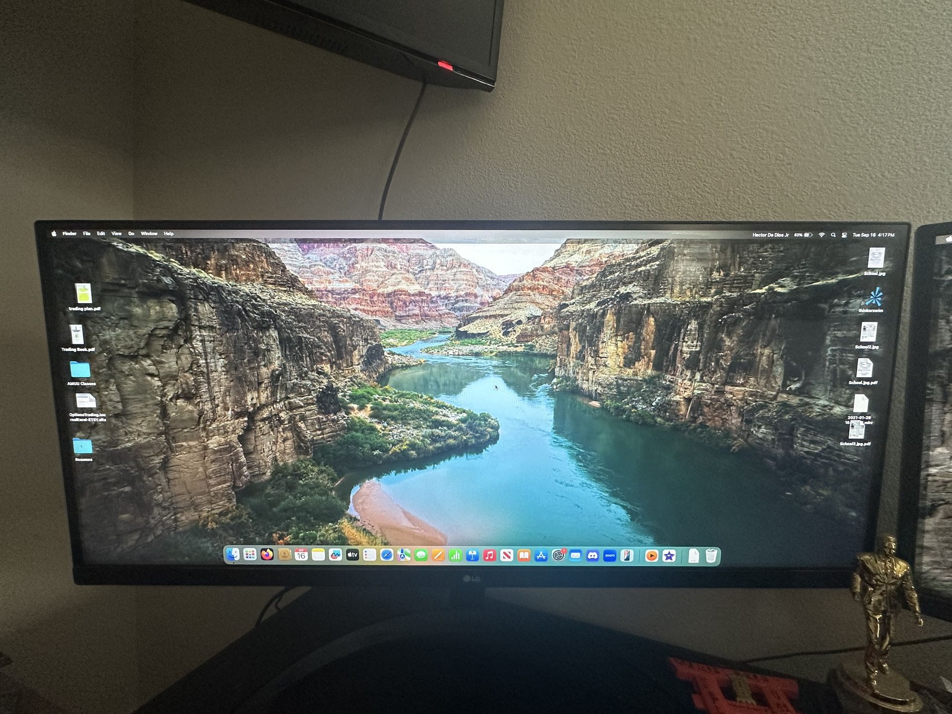 LG 34 Inch Monitor 