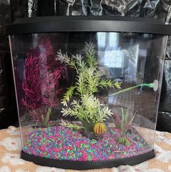 Roofing Split Bowfront 5 Gallon Tank W/decor