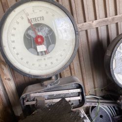 Toledo and detectó scales