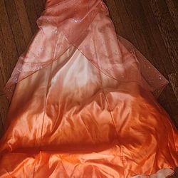 Prom Dresses/ Party Dresses