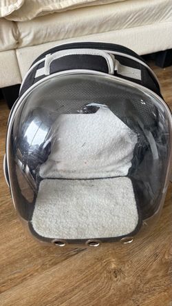Cat Backpack