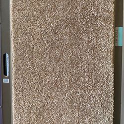 Wall To Wall Carpet At low Discount Prices 