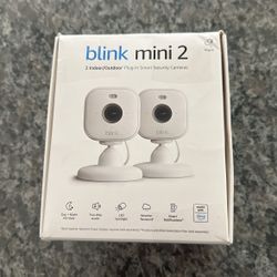 2 bink cameras - only $35 each