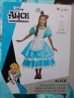 Disney Alice in wonderland costume