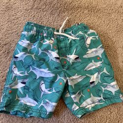 Kid’s Swim Trunks 4 Years Old