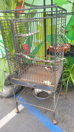 Wrought Iron parrot garden use vintage cages