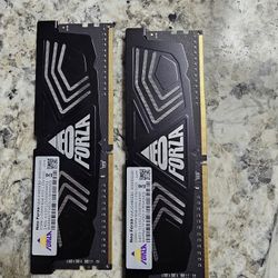 16GB RAM Neo Forza