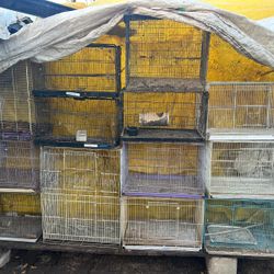 Bird Cages For Sale