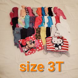 Girls Clothes Size 3T