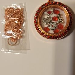Locket With Charms -selling As Is