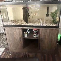 Fish Tank 75 Gallon With Stand 