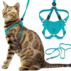 OutdoorBengal Houdini Cat Harness & 6ft Leash Turquoise M/L Adjustable NEW