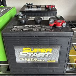 Two 6 Volt Deep Cycle Batteries 