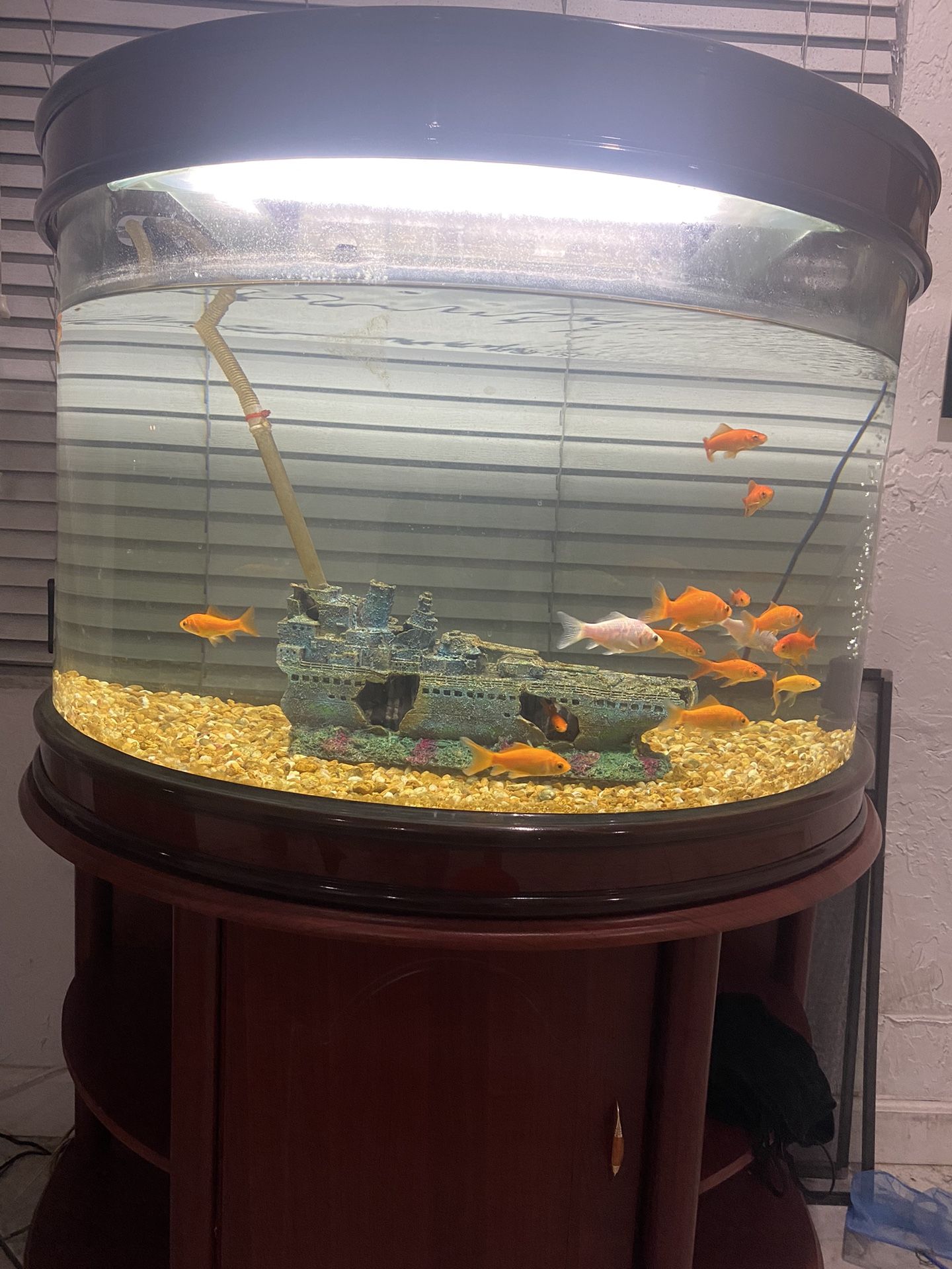 55 gallon fish tank  (can be negotiated)