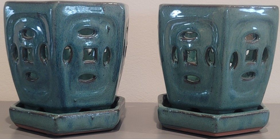 Beautiful Plant, Flower Pot